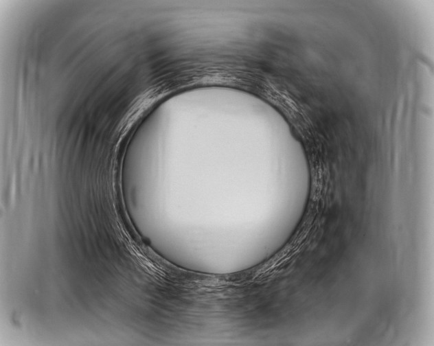 X0000097980098200803241051