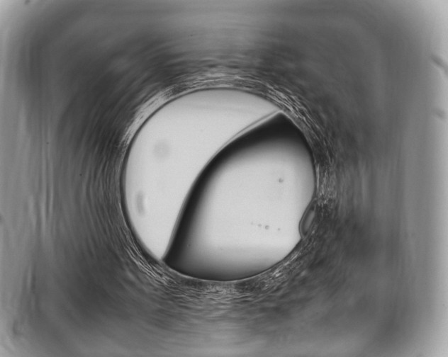 X0000097980099200803241051