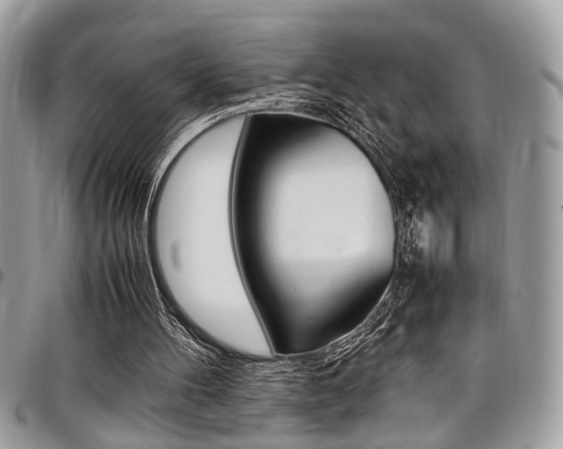 X0000097980100200803241051