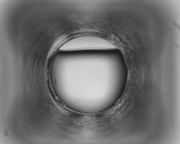 X0000097980101200803241051
