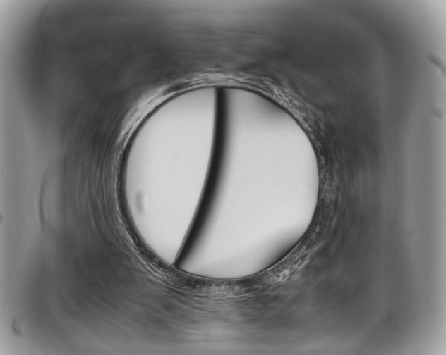 X0000097980103200803241051