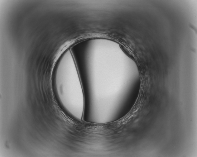 X0000097980104200803241051