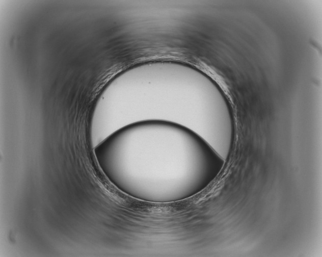 X0000097980105200803241051