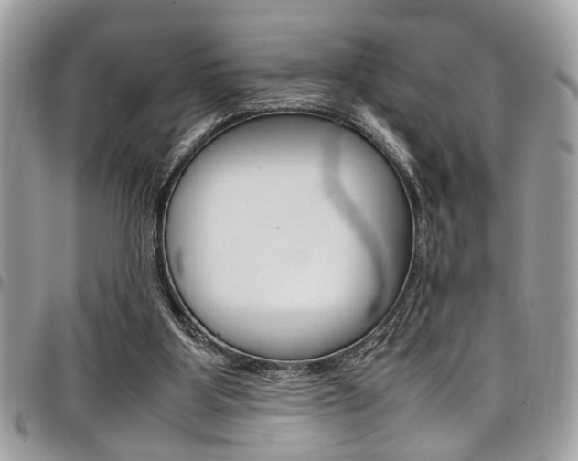 X0000097980107200803241051