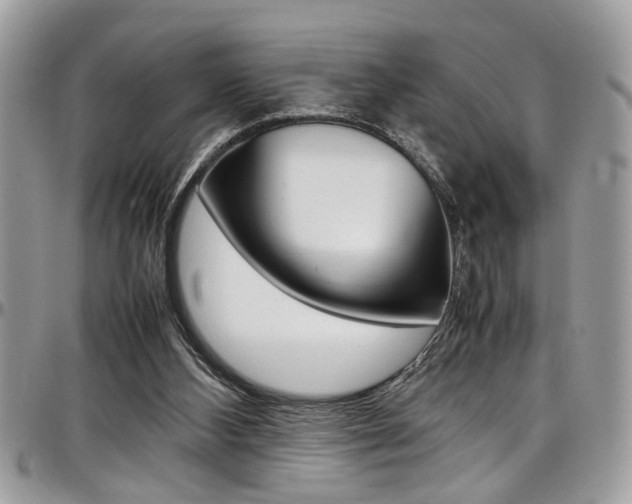 X0000097980108200803241051