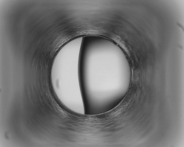 X0000097980109200803241051