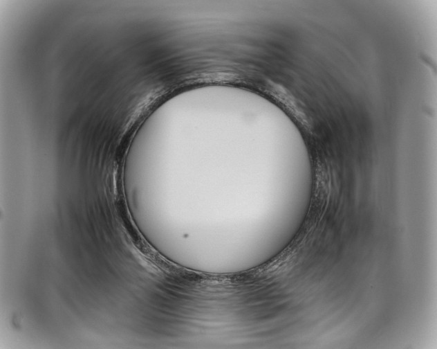 X0000097980110200803241051