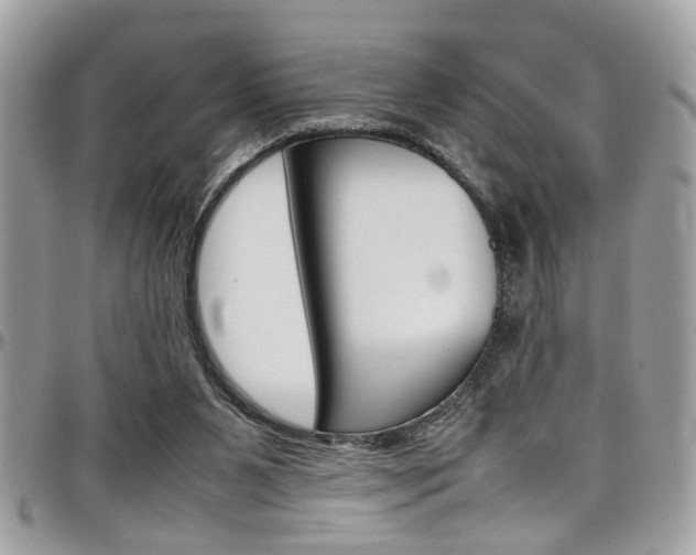 X0000097980111200803241051
