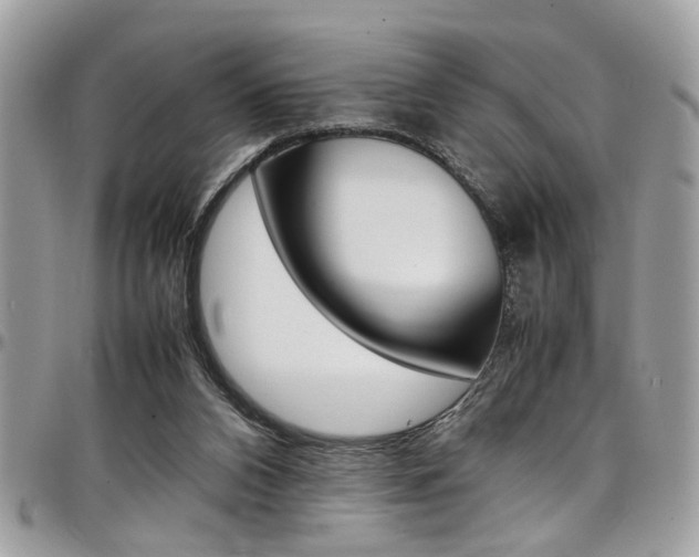 X0000097980112200803241051