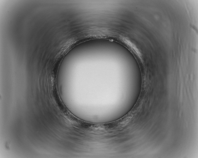 X0000097980113200803241050