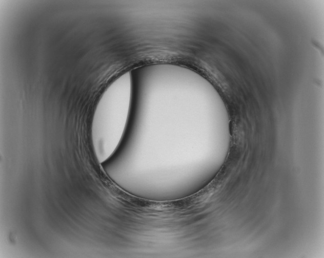 X0000097980117200803241050