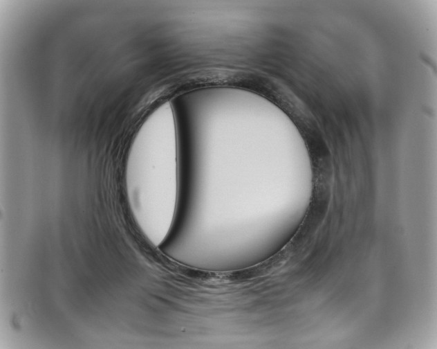 X0000097980119200803241050