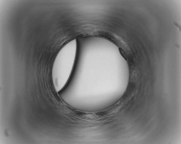 X0000097980121200803241050