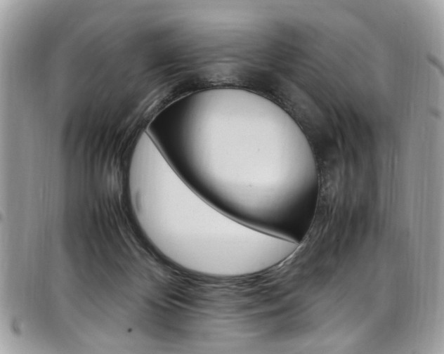 X0000097980124200803241050