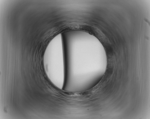 X0000097980125200803241050