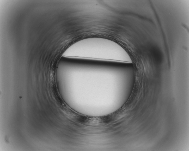 X0000097980127200803241050