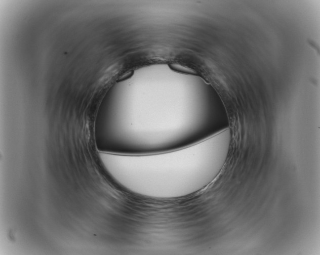X0000097980128200803241050