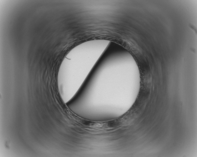 X0000097980129200803241050
