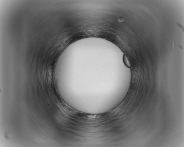 X0000097980130200803241050