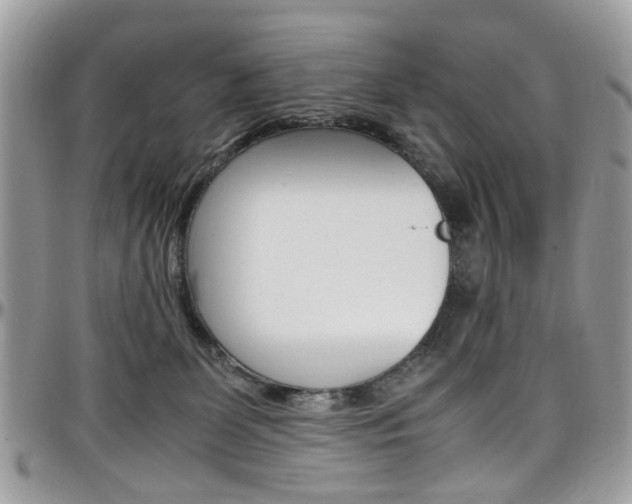 X0000097980131200803241050