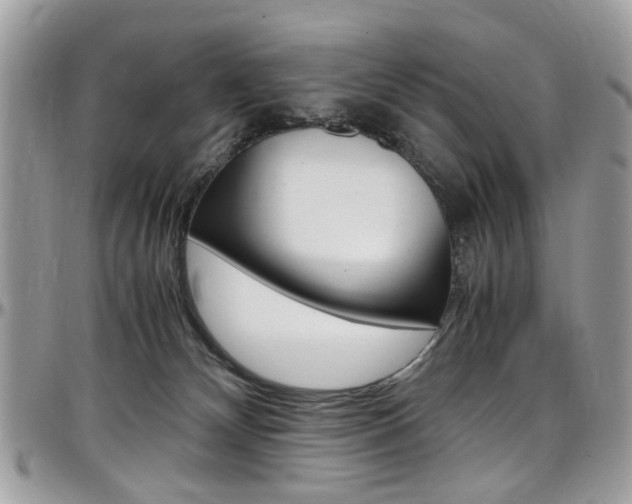 X0000097980132200803241050