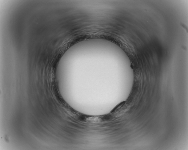 X0000097980133200803241050