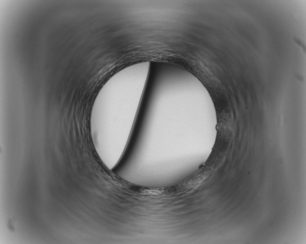 X0000097980139200803241050