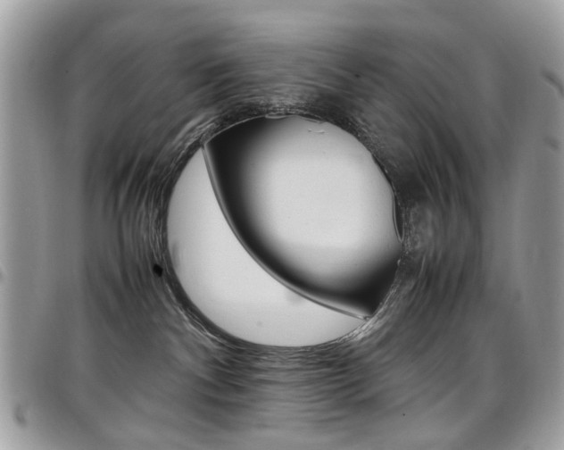 X0000097980140200803241050