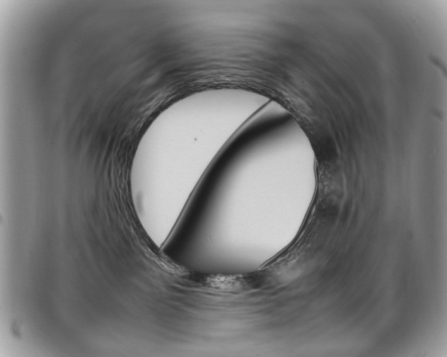 X0000097980141200803241050