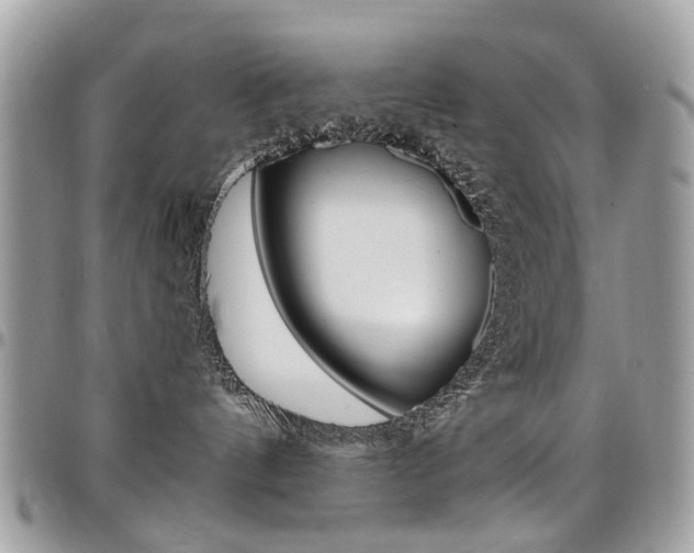 X0000097980144200803241050
