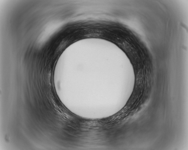 X0000097980146200803241049