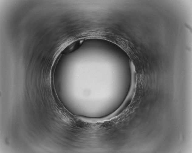 X0000097980148200803241049