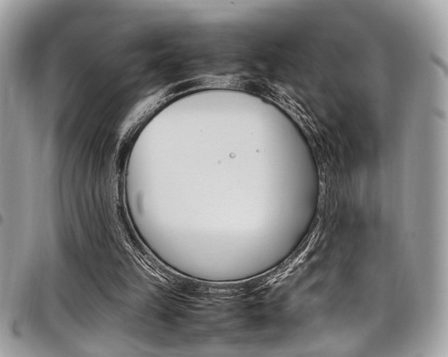 X0000097980149200803241049