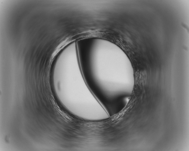 X0000097980150200803241049