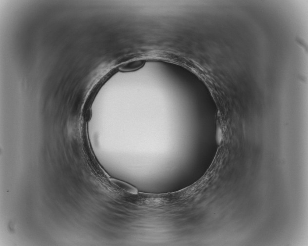 X0000097980152200803241049