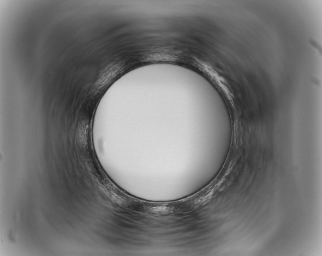 X0000097980153200803241050