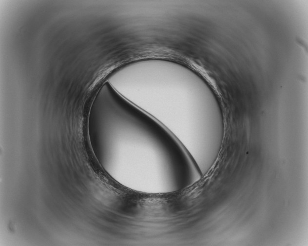 X0000097980154200803241050