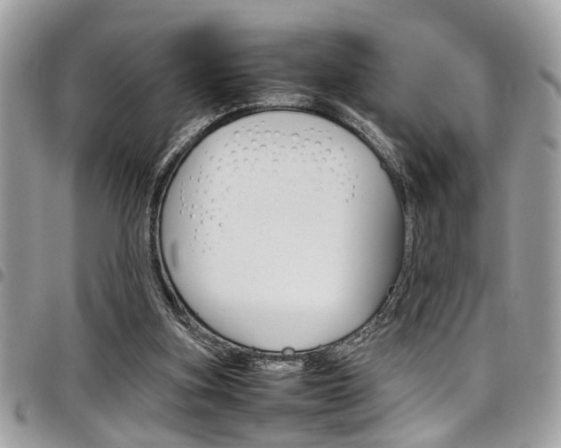 X0000097980155200803241050