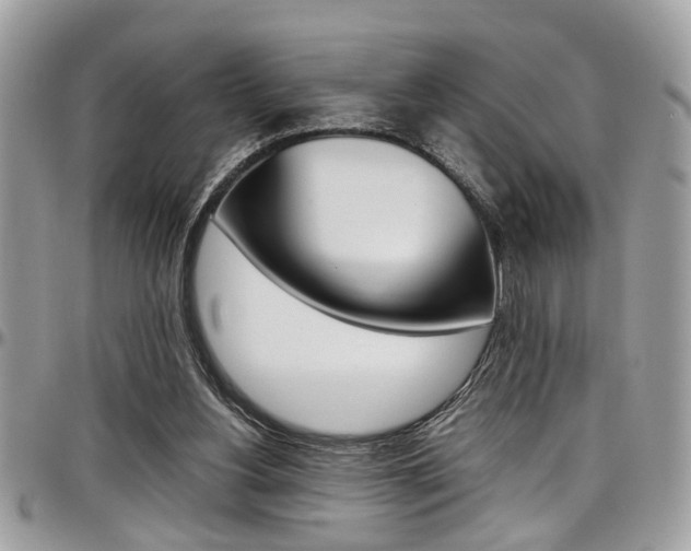 X0000097980156200803241050