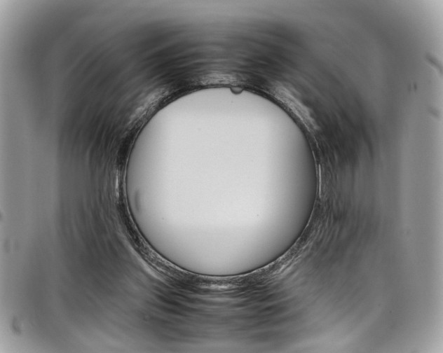 X0000097980157200803241050