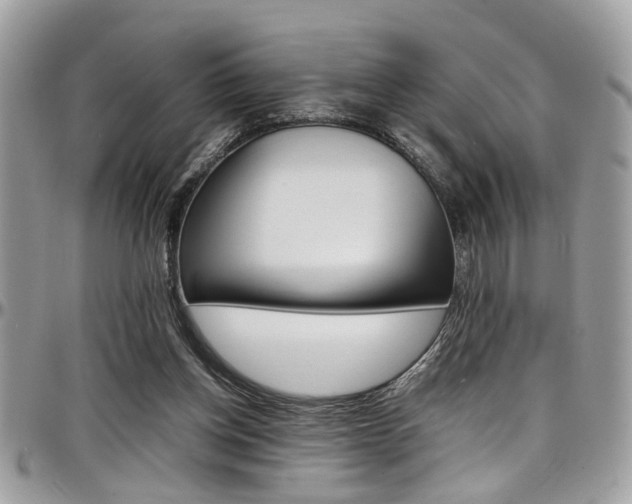 X0000097980158200803241050
