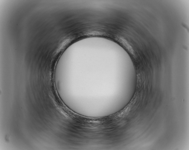 X0000097980159200803241050