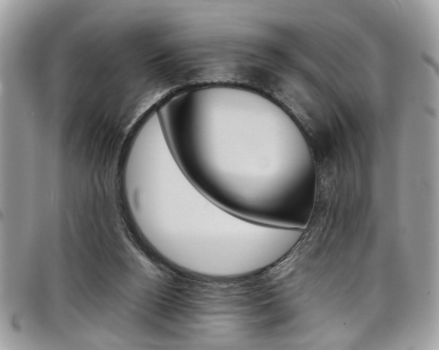 X0000097980160200803241050