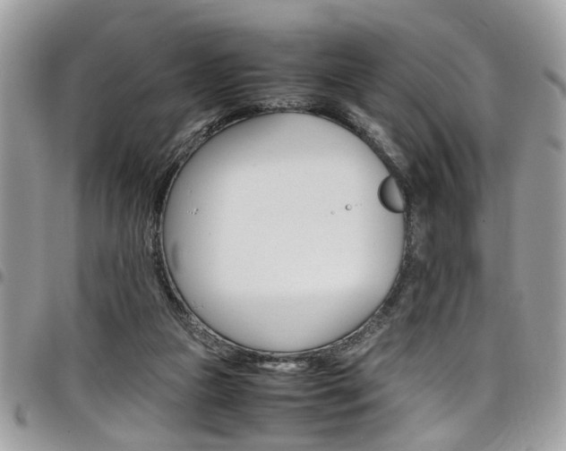 X0000097980161200803241050
