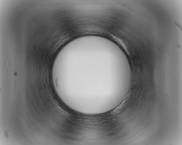 X0000097980162200803241050