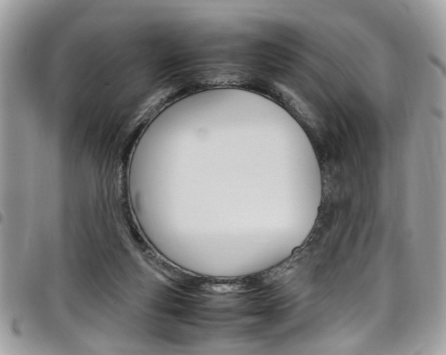 X0000097980163200803241050