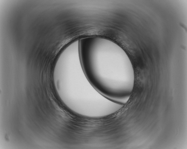 X0000097980164200803241050