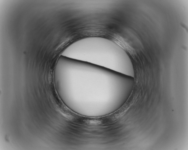 X0000097980165200803241050