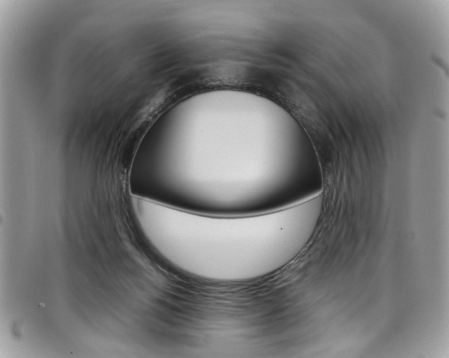 X0000097980168200803241050