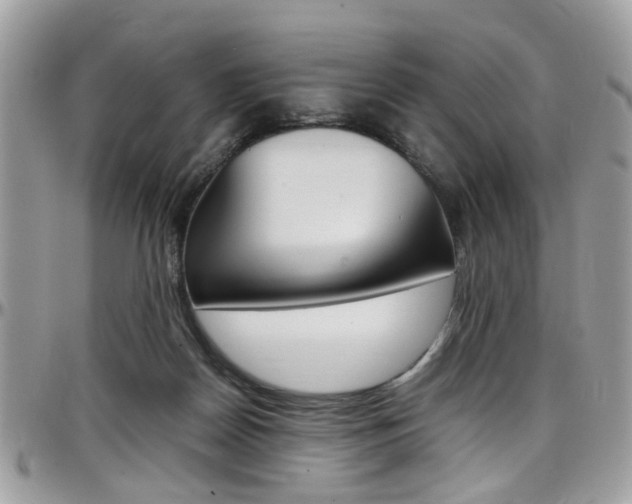 X0000097980170200803241050
